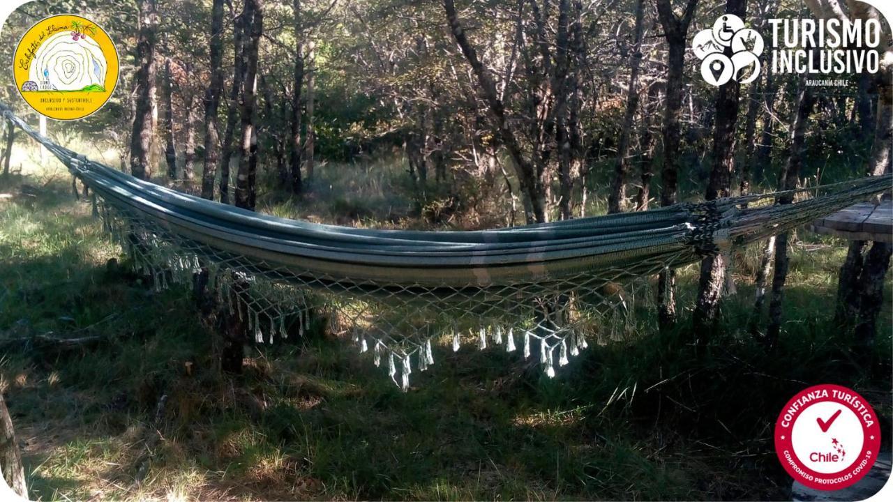 Centro Turistico Calafates Del Llaima Villa Conguillio Kültér fotó